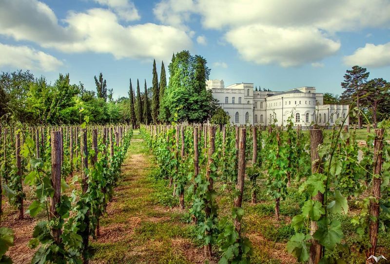 Kakheti Wine Tour: Discover Georgia’s Vineyards