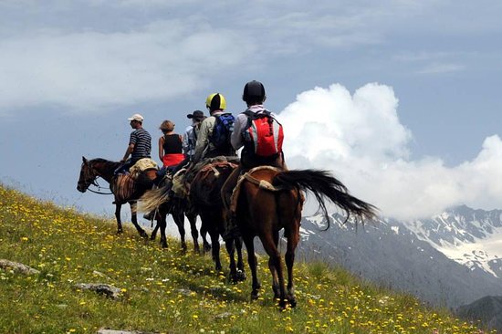 Horse Riding Tour in Georgia: Explore on Horseback